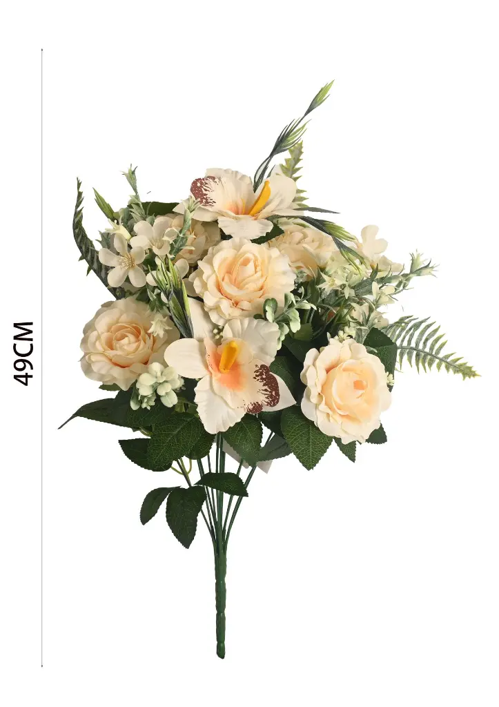 631078香槟.webp