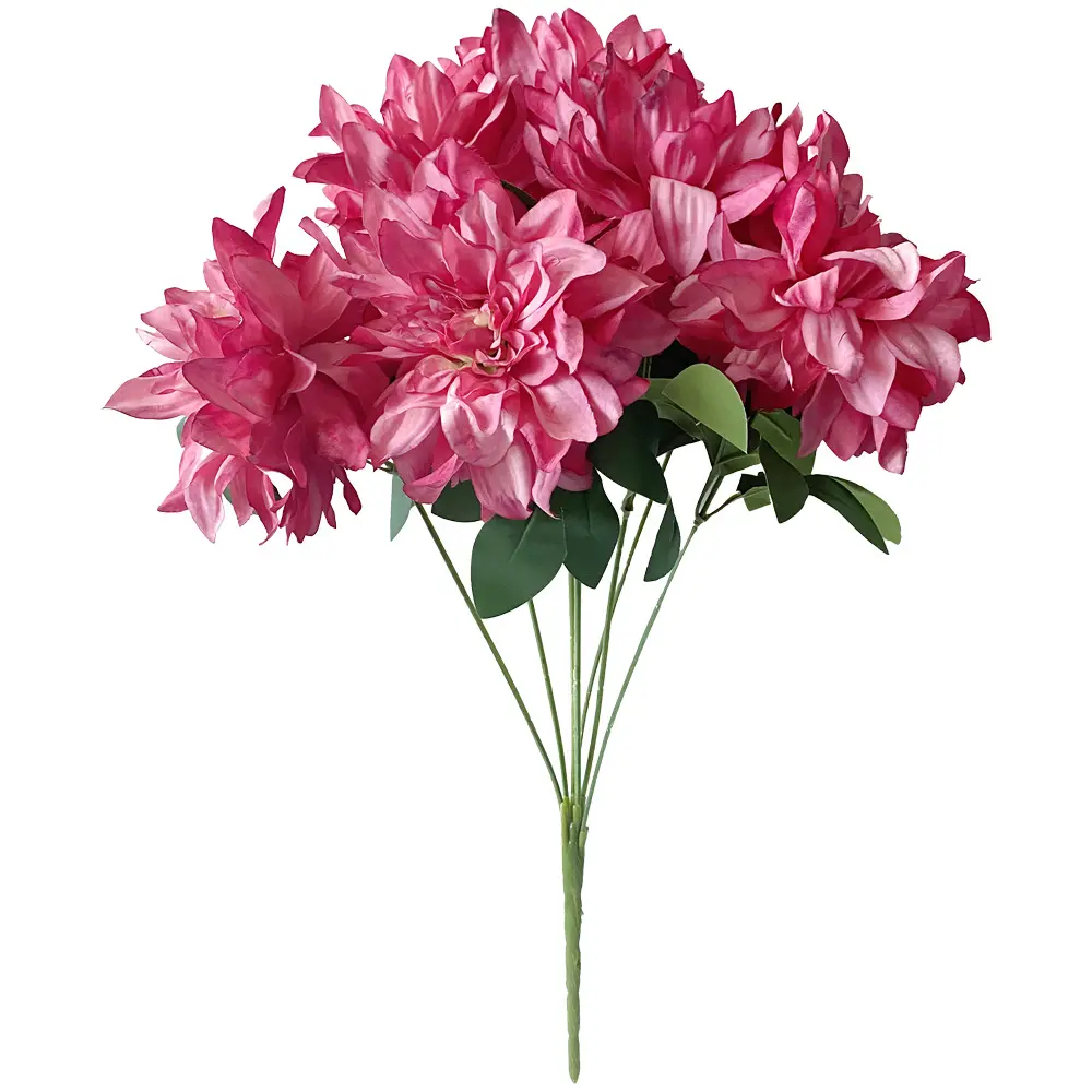 630596西瓜红.webp