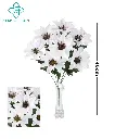 630846-纯白色.webp
