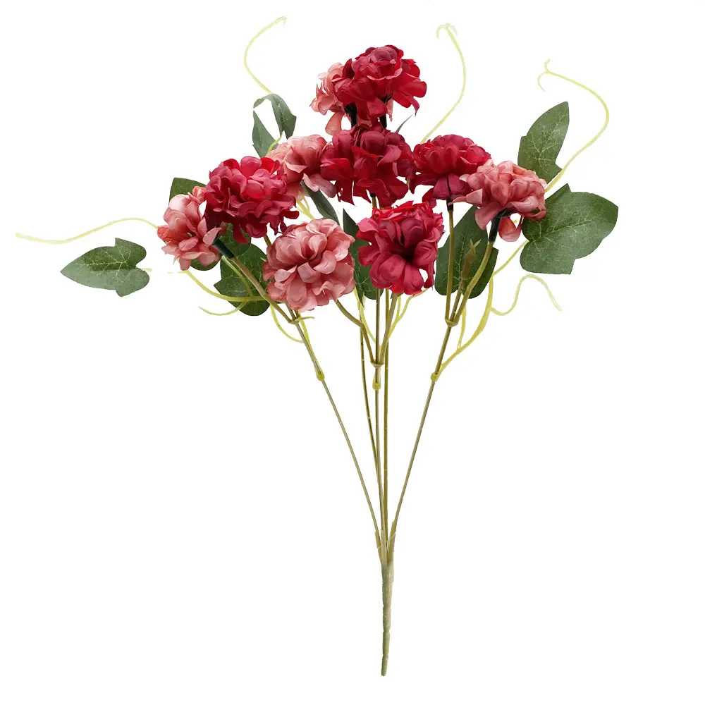 630824红.webp