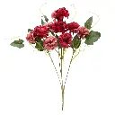 630824红.webp