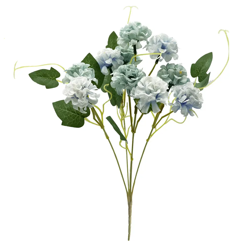 630824蓝.webp