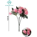 631098ROSA.webp
