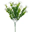 630958白色.webp
