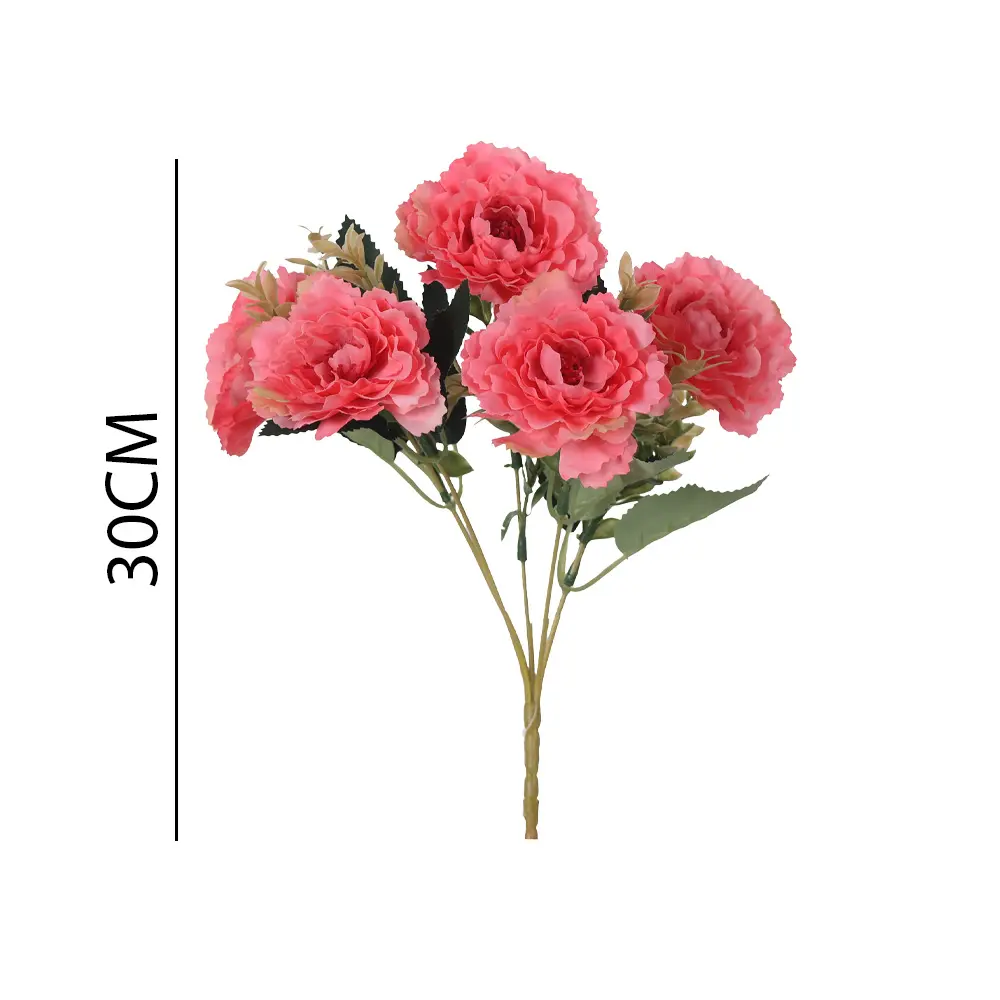 631262FUCSIA.webp