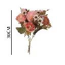 631260ROSA.webp