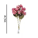 631256ROSA.webp