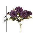 631249MORADO.webp