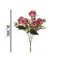 631251ROSA.webp