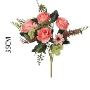 631263ROSA.webp