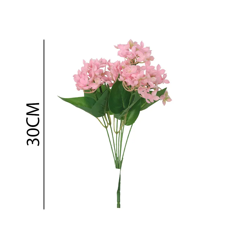 631259ROSA.webp