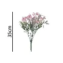 631307ROSA.webp