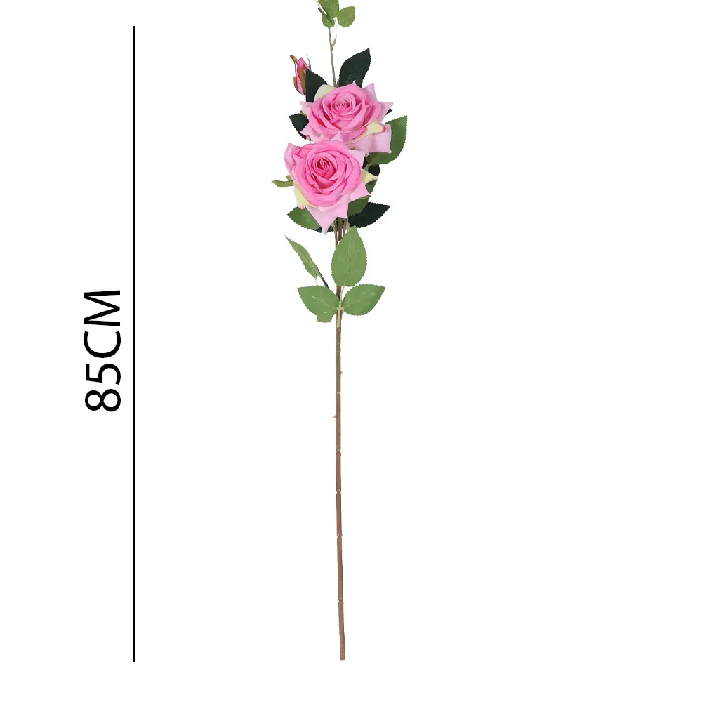 631267ROSA OSCURO.webp