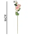 631267ROSA.webp