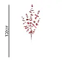 631207ROJO.webp