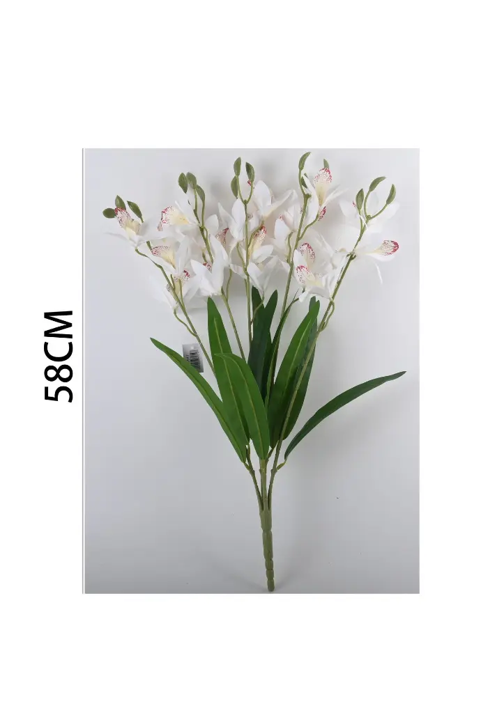 630917BLANCO.webp