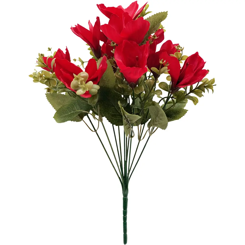 630961红.webp
