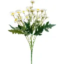 630956白.webp