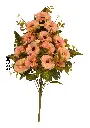 6101095香槟.webp