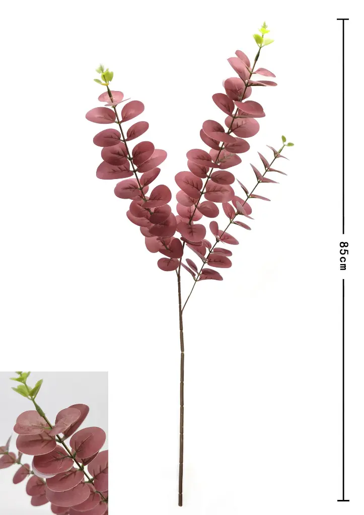 630227-13粉.webp
