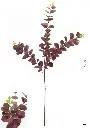 630227-116.webp