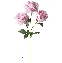 630308浅粉.webp
