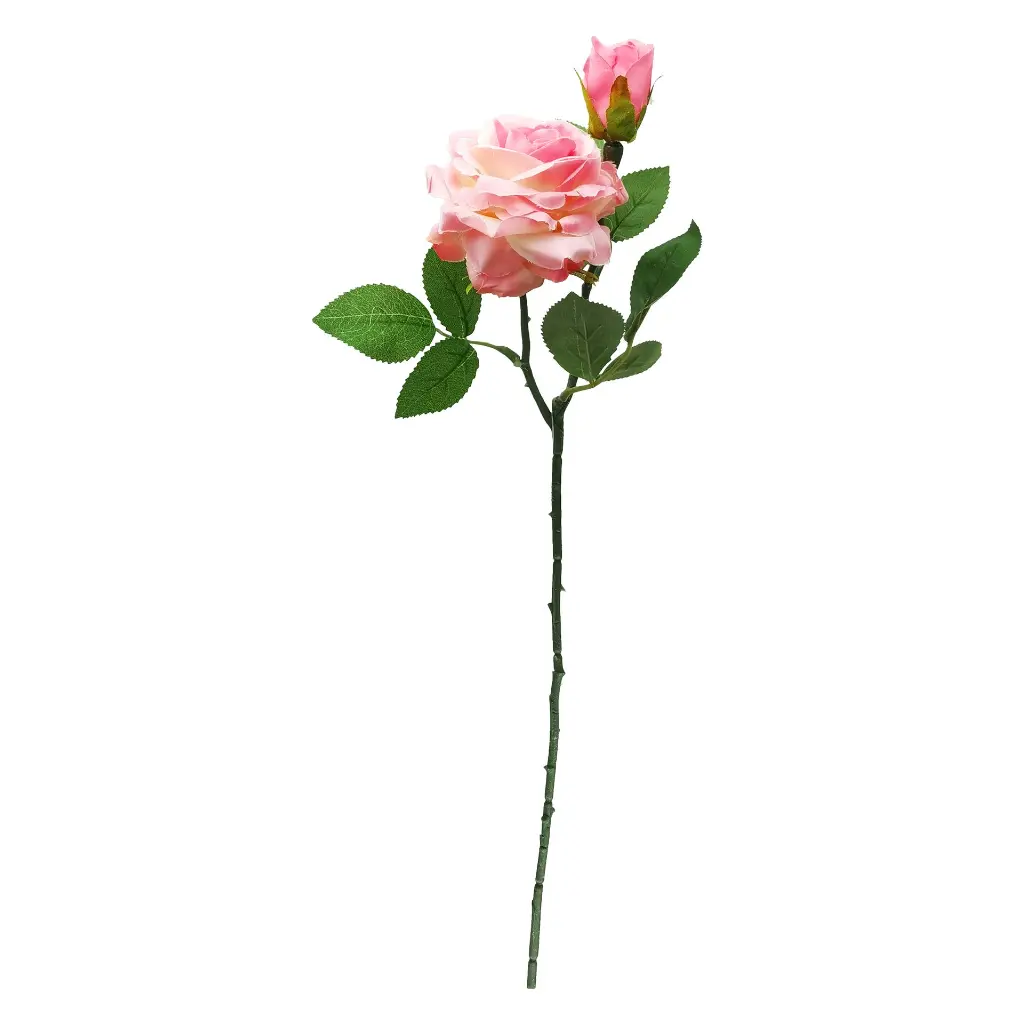 630394粉.webp