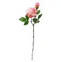 630394粉.webp