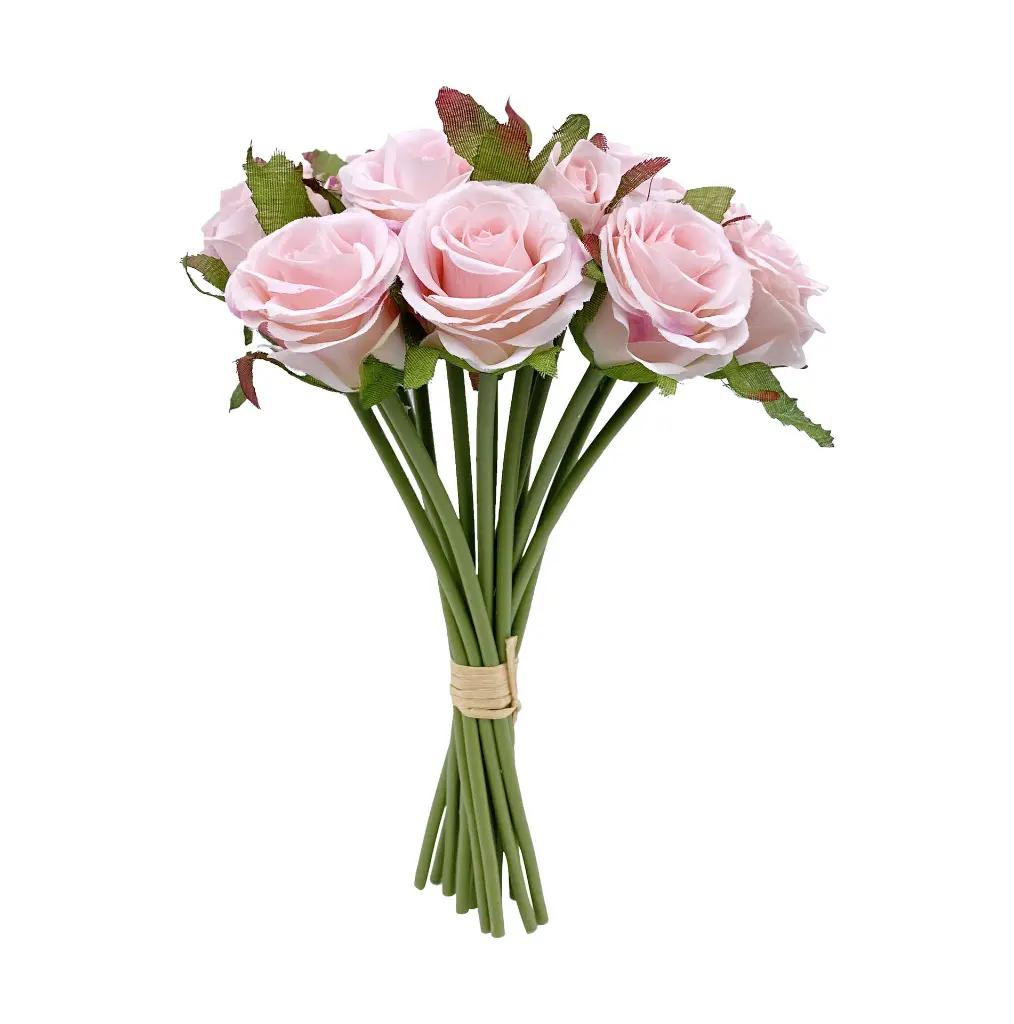 630598粉.webp
