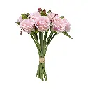 630598粉.webp