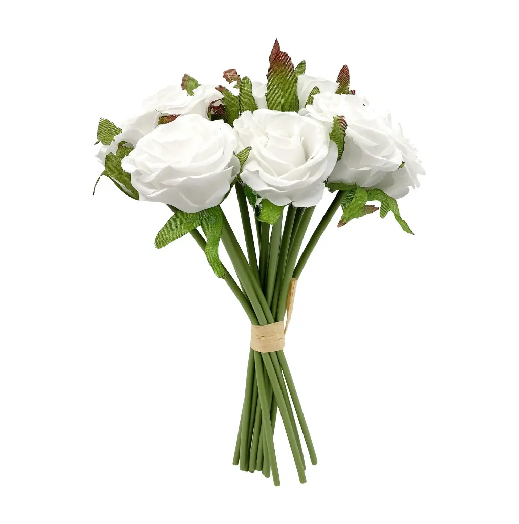 630598白色.webp