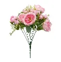 630606粉色.webp