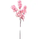 630624浅粉.webp