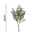 630671VERDE.webp