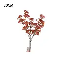 630672.webp