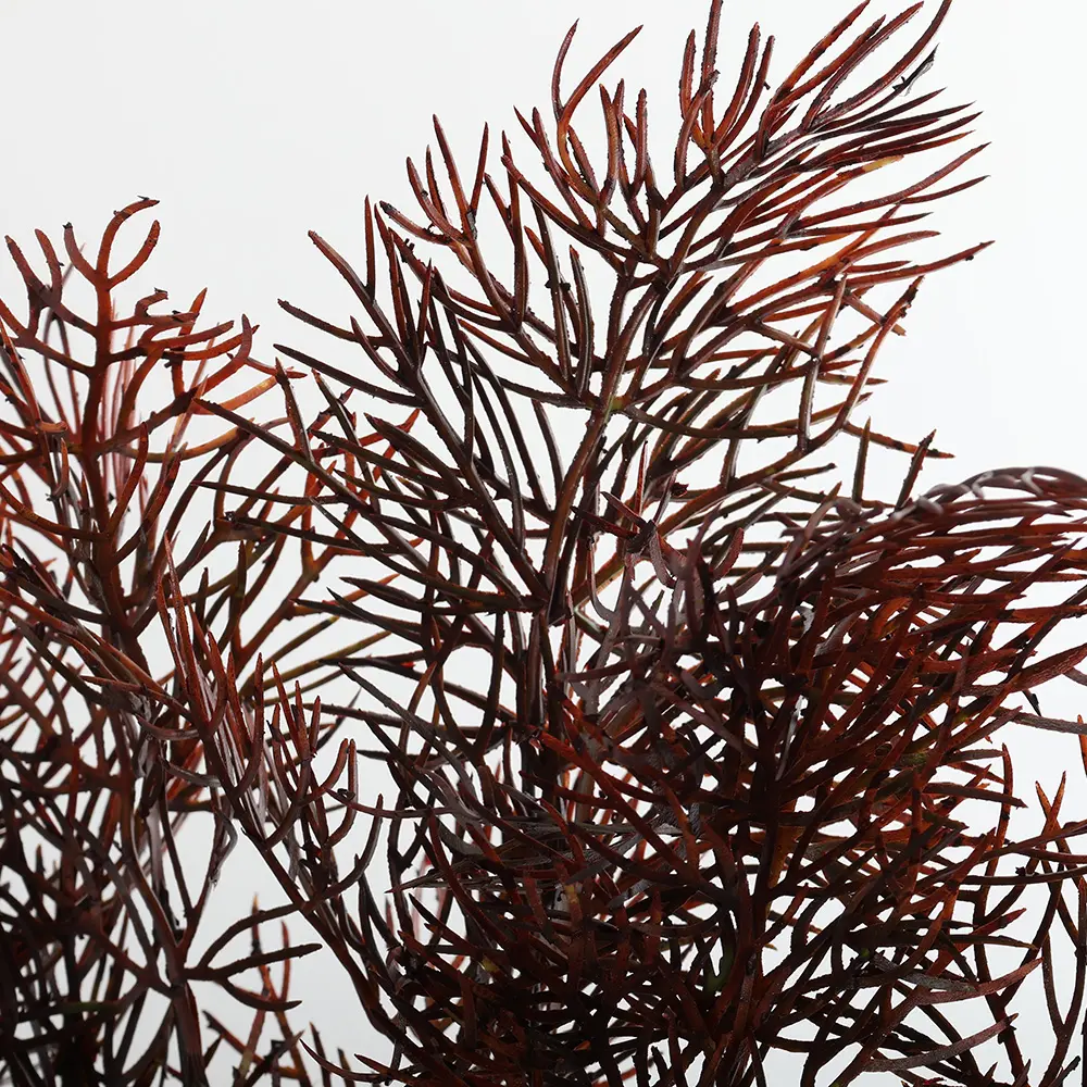 630675-2细节.webp