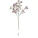 630728-5.webp