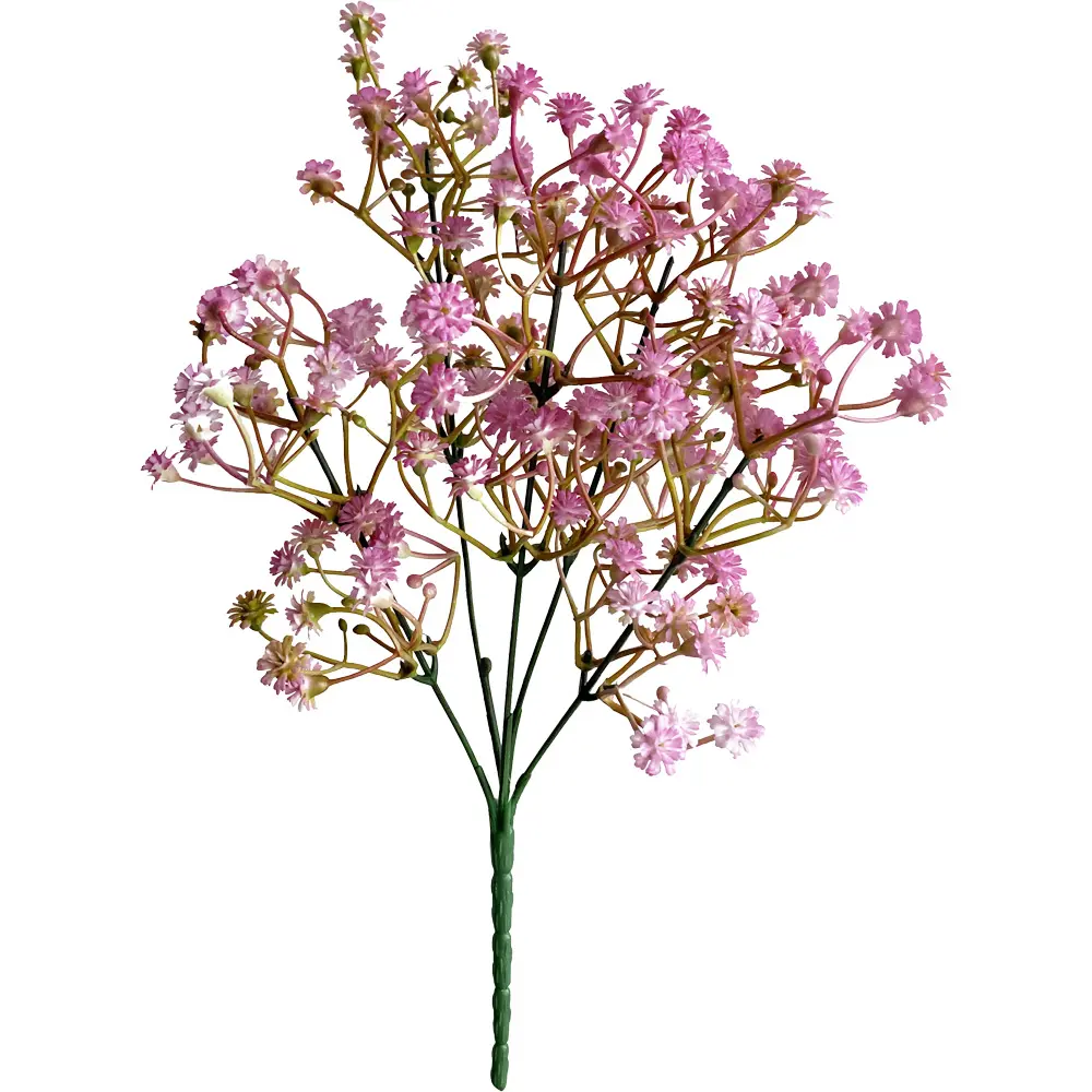 630729玫红.webp