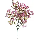 630729玫红.webp
