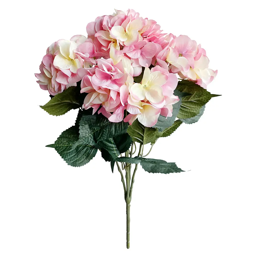 630809粉.webp