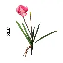 630881-2.webp