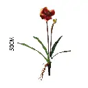 630881-3.webp