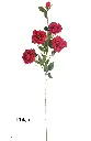 630891红色.webp