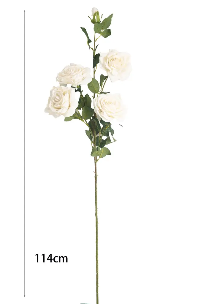 630891白色.webp