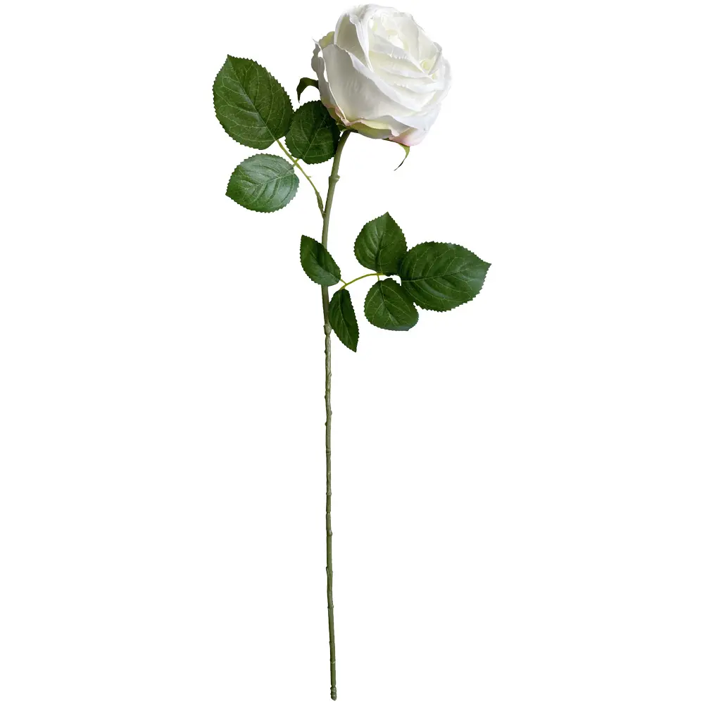 630893白色.webp