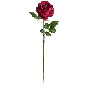 630893大红.webp