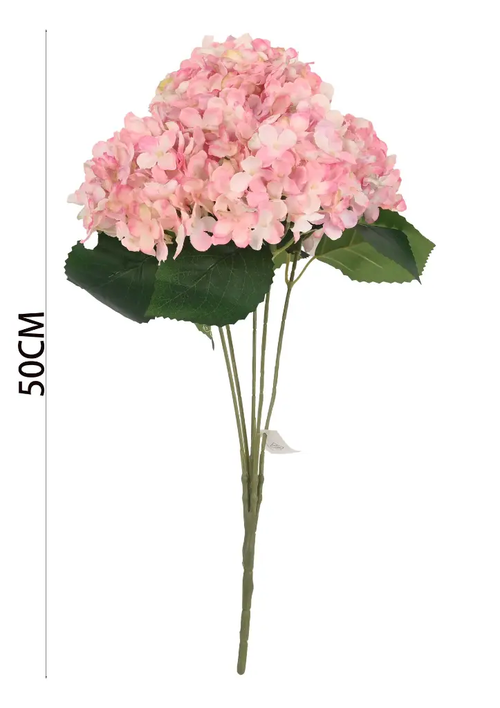 630943粉色.webp