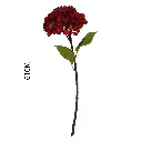 630944红色.webp