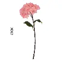 630944粉色.webp