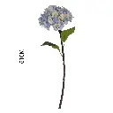 630944蓝色.webp